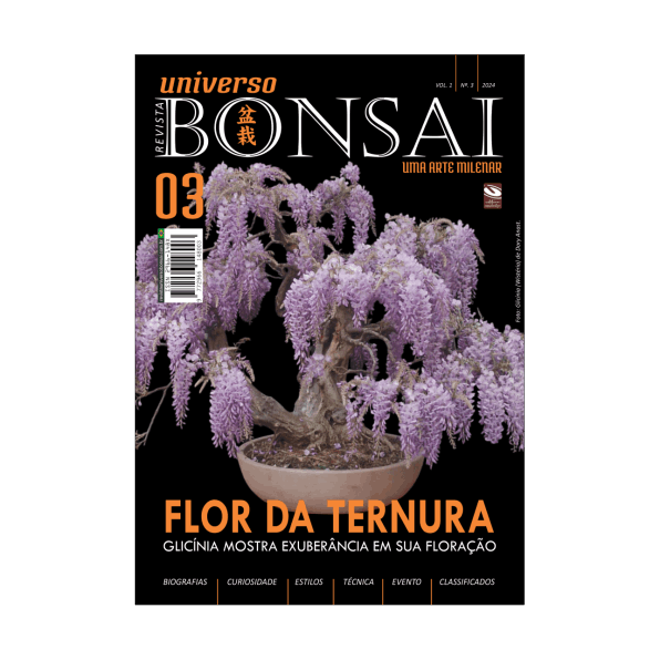 Revista universo Bonsai 03